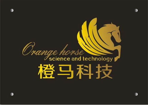 惠州市橙马网络科技