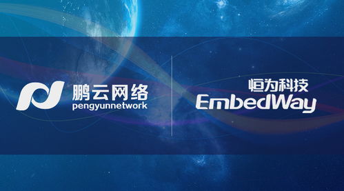 先行一步 鹏云网络携手恒为科技开展国产自主可控SDS前瞻性研究