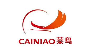 菜鸟展翅 从阿里新战略看马云的物流科技雄心